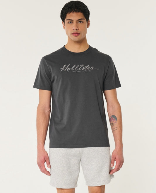 REMERA CON LOGO BORDADO HOLLISTER CO