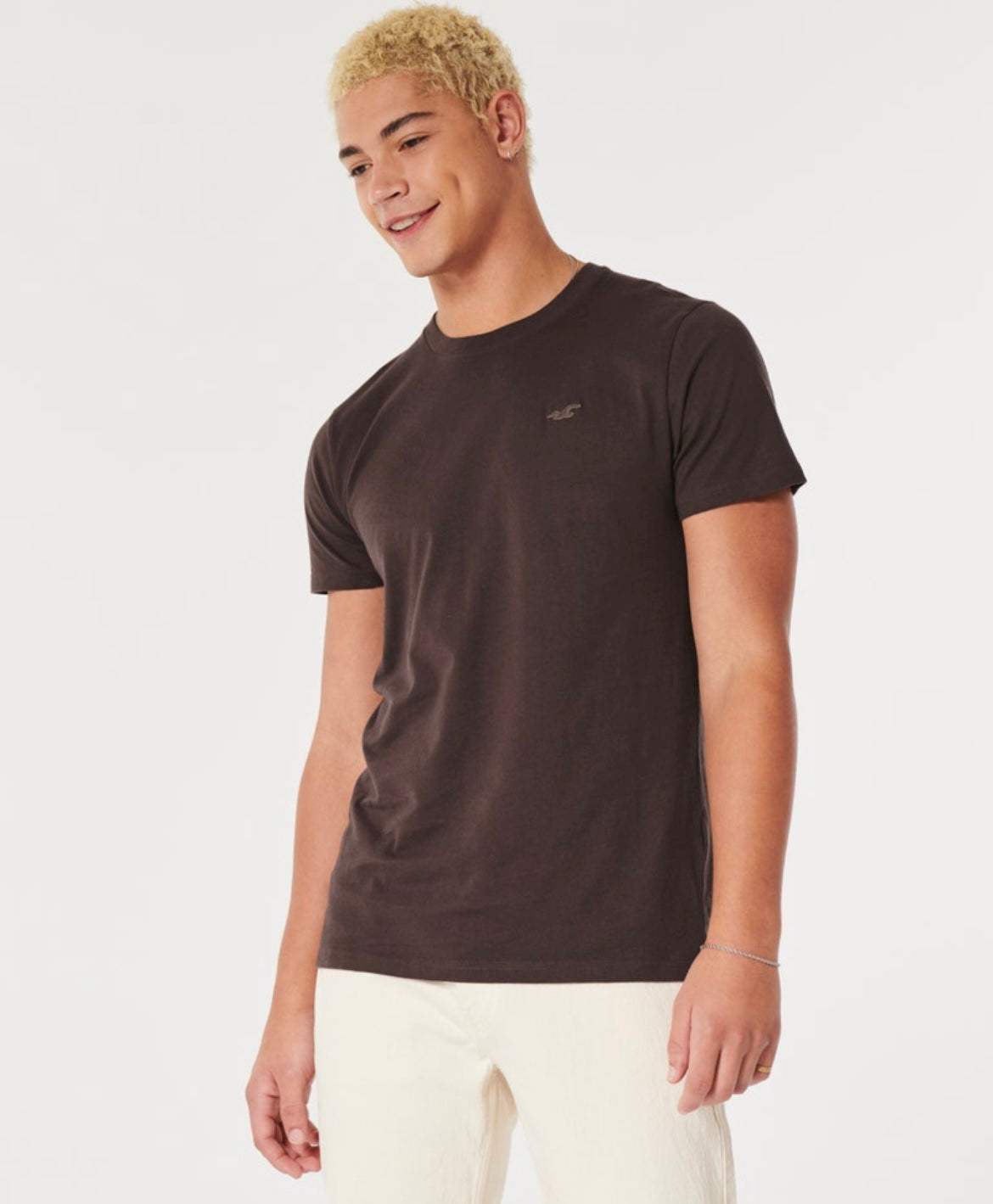 REMERA CON LOGO BORDADO HOLLISTER CO