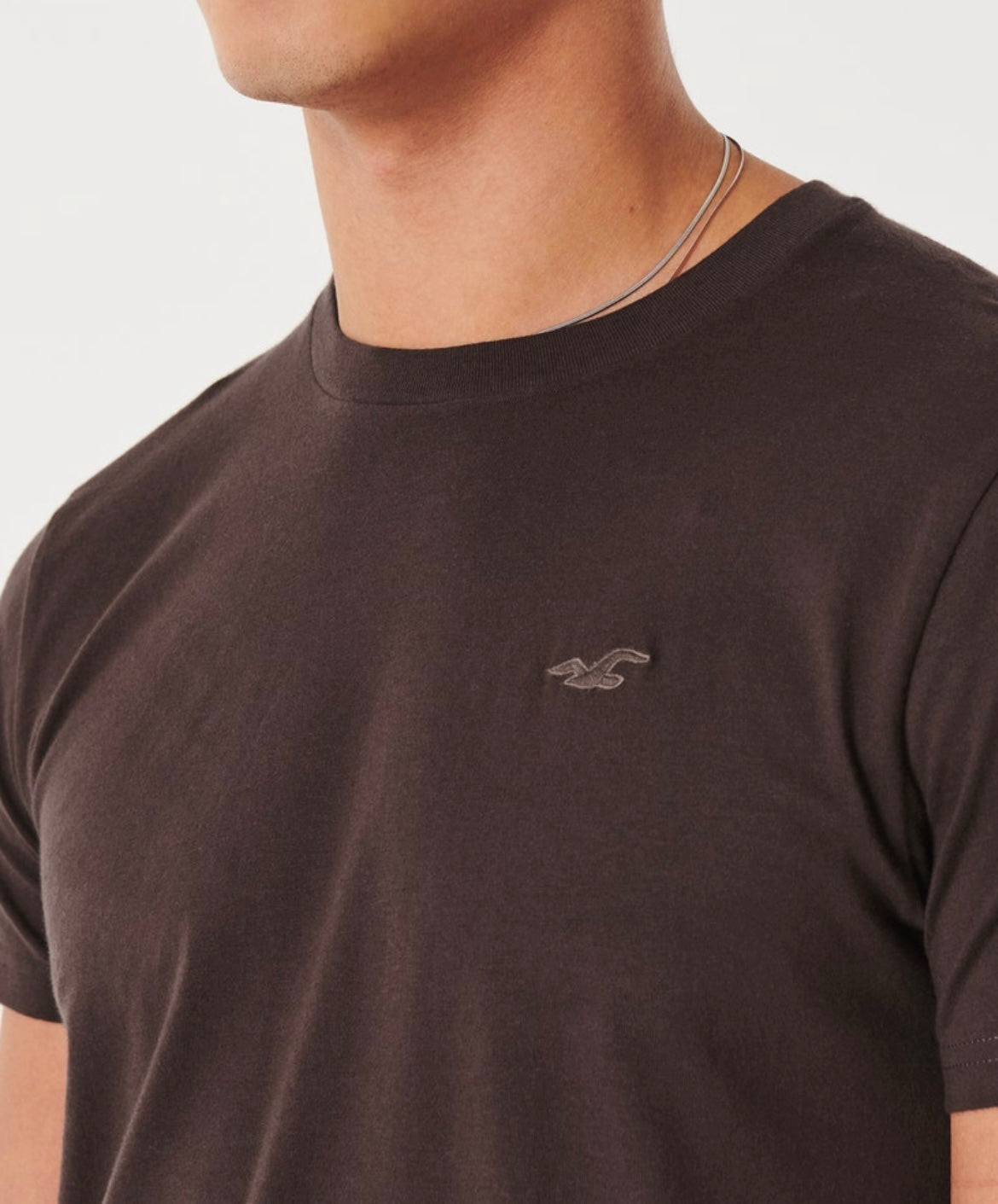 REMERA CON LOGO BORDADO HOLLISTER CO