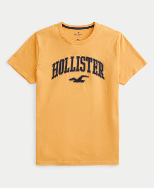 REMERA CON LOGOTIPO BORDADO HOLLISTER CO