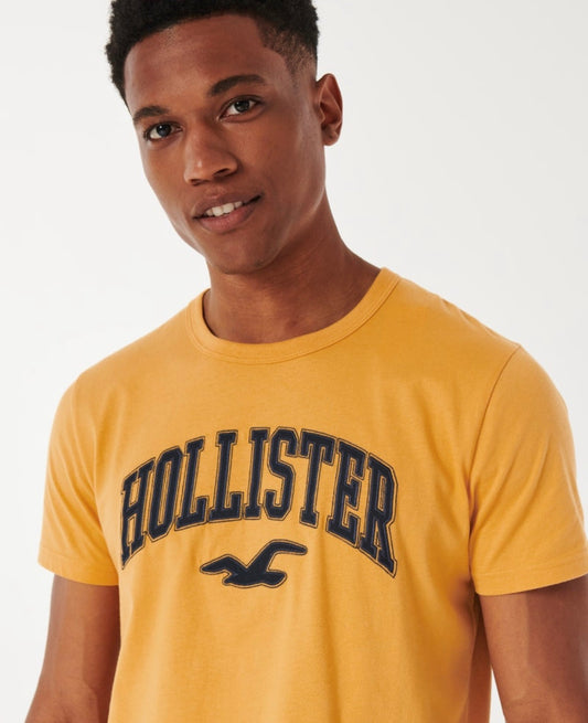 REMERA CON LOGOTIPO BORDADO HOLLISTER CO