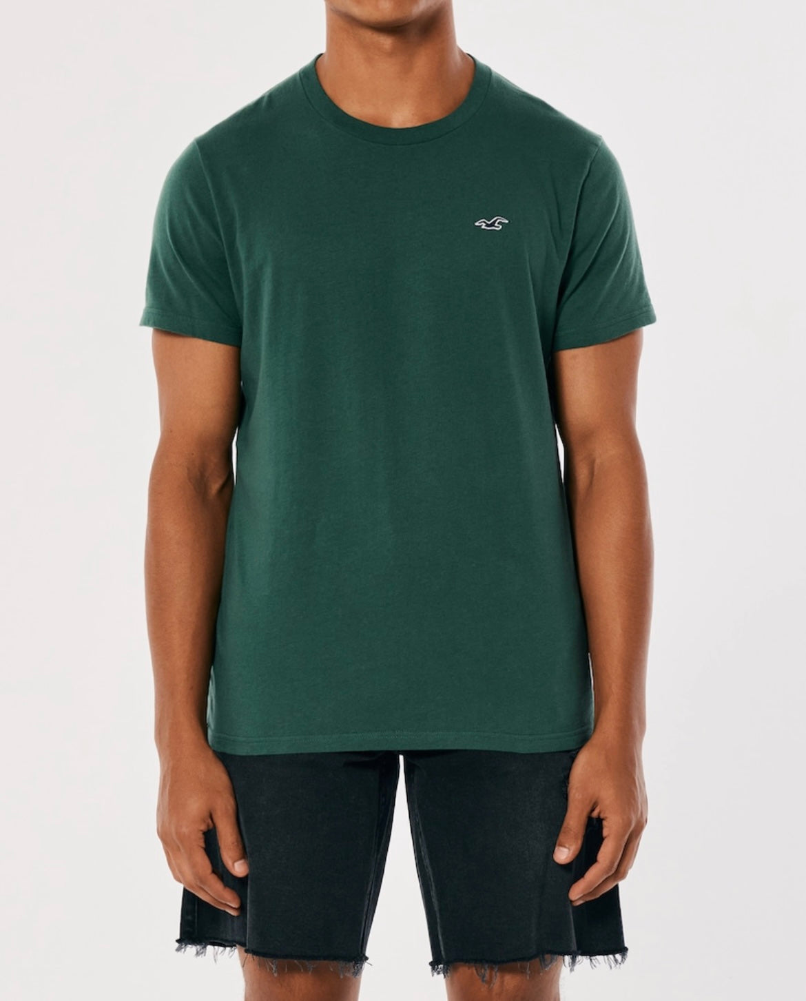 REMERA CON LOGO BORDADO HOLLISTER CO