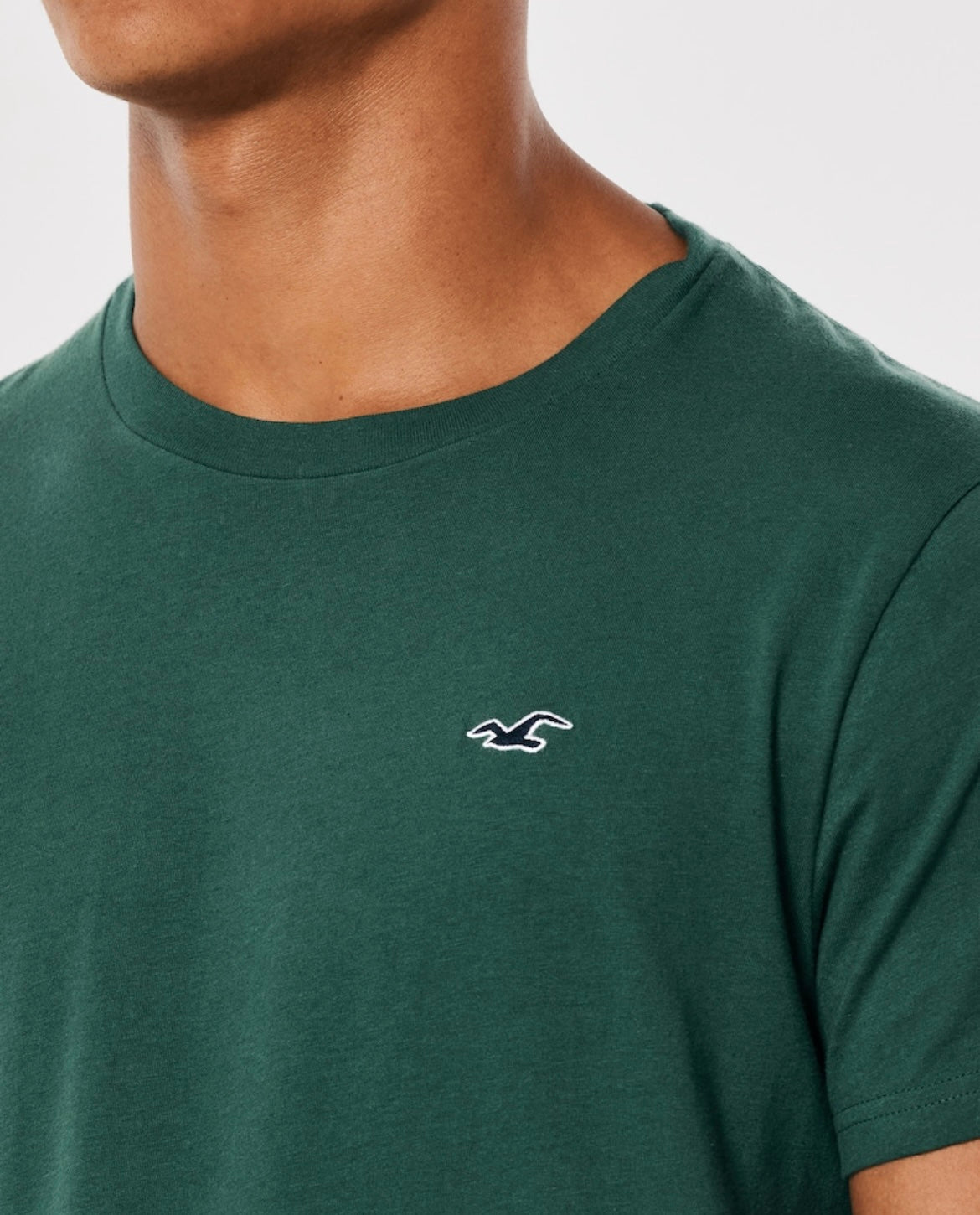 REMERA CON LOGO BORDADO HOLLISTER CO