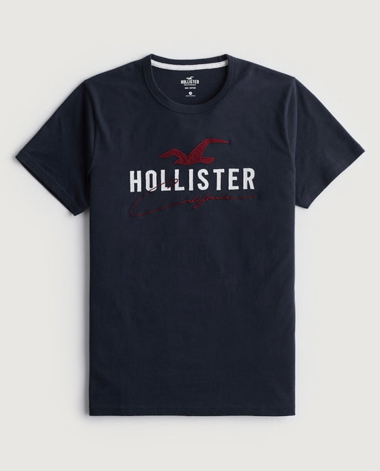 REMERA CON LOGOTIPO BORDADO HOLLISTER CO