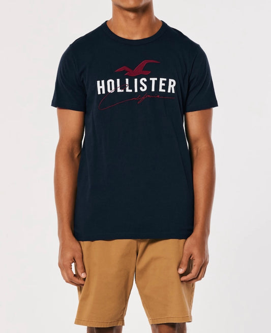 REMERA CON LOGOTIPO BORDADO HOLLISTER CO