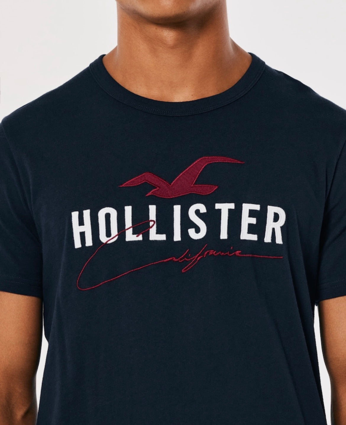 REMERA CON LOGOTIPO BORDADO HOLLISTER CO