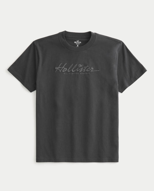 REMERA CON LOGO BORDADO HOLLISTER CO
