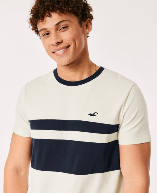 REMERA DE DOS COLORES HOLLISTER CO