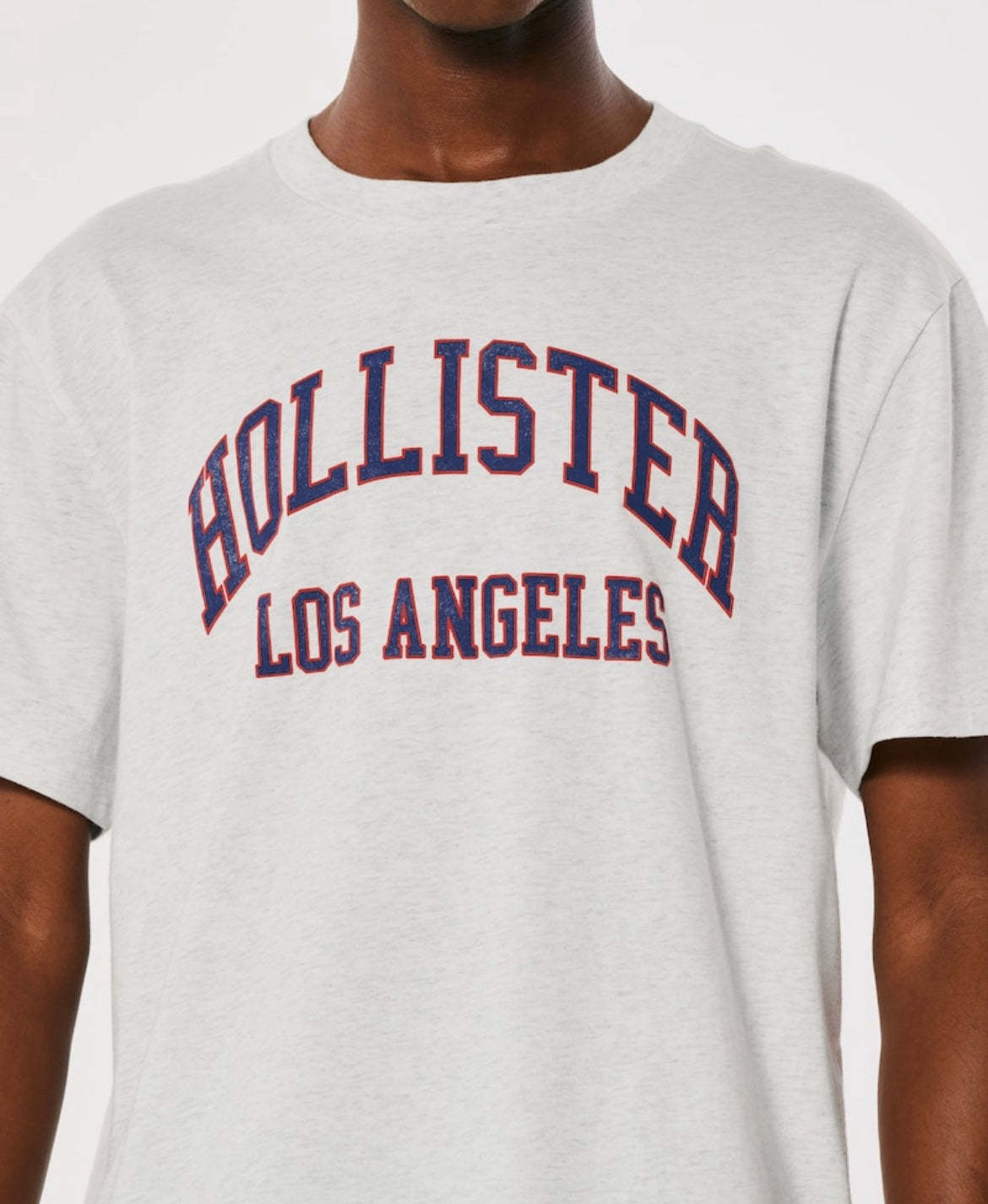 REMERA LOS ÁNGELES ESTAMPADA HOLLISTER CO