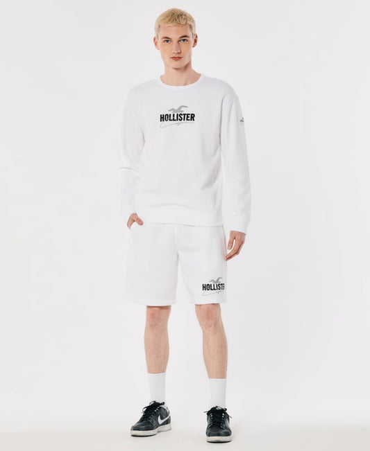 BUZO CON LOGO BORDADO HOLLISTER CO