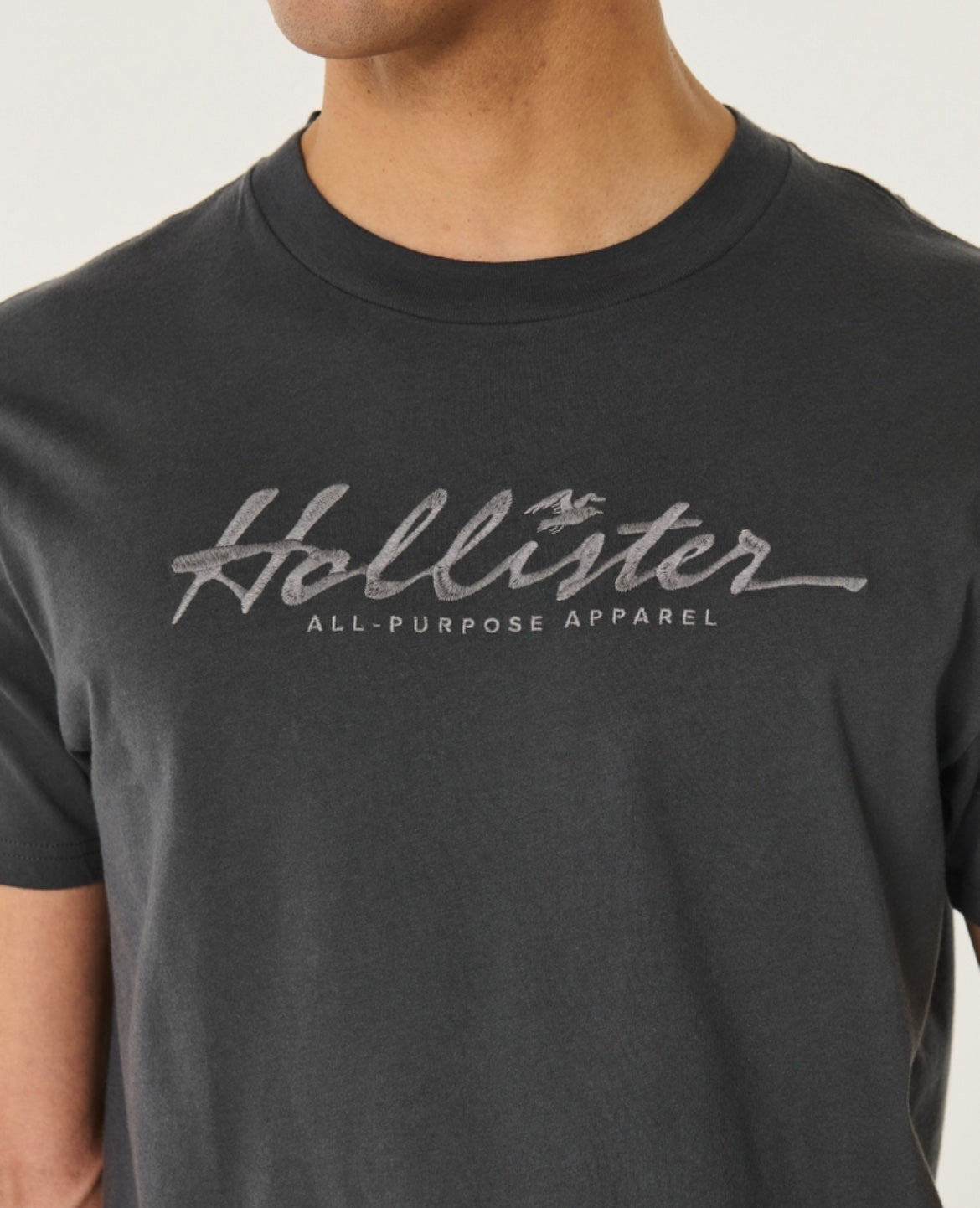 REMERA CON LOGO BORDADO HOLLISTER CO