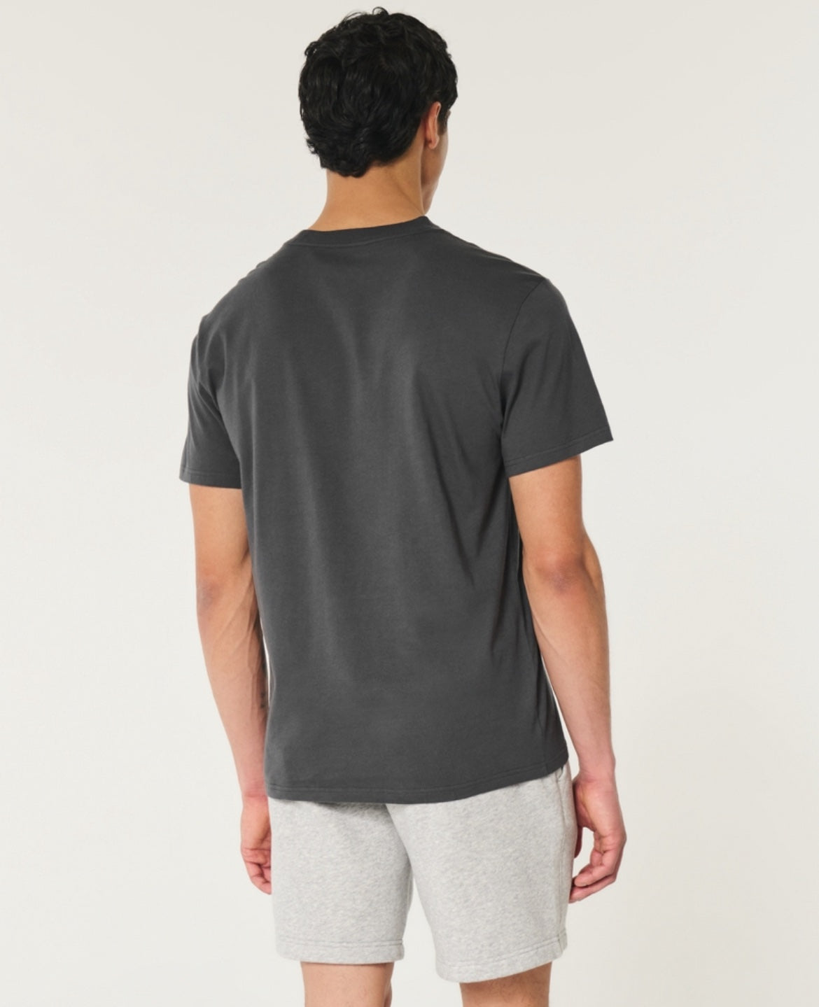 REMERA CON LOGO BORDADO HOLLISTER CO