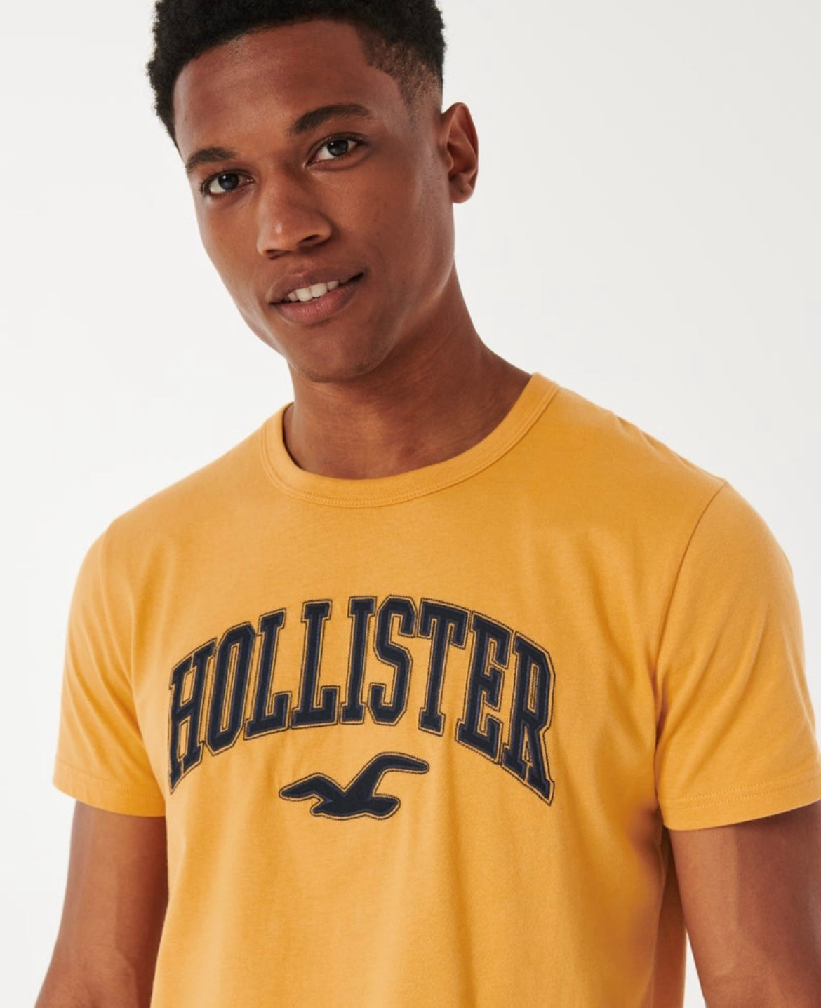 REMERA CON LOGOTIPO BORDADO HOLLISTER CO