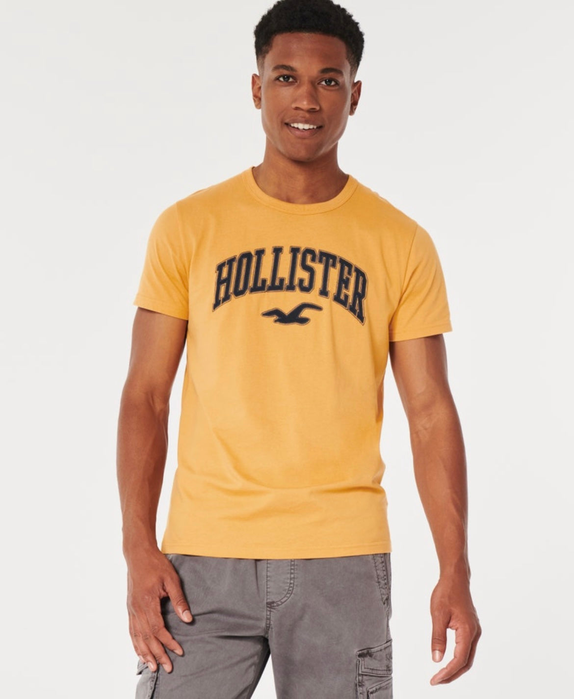 REMERA CON LOGOTIPO BORDADO HOLLISTER CO