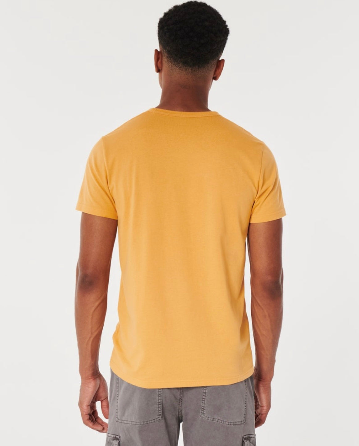 REMERA CON LOGOTIPO BORDADO HOLLISTER CO