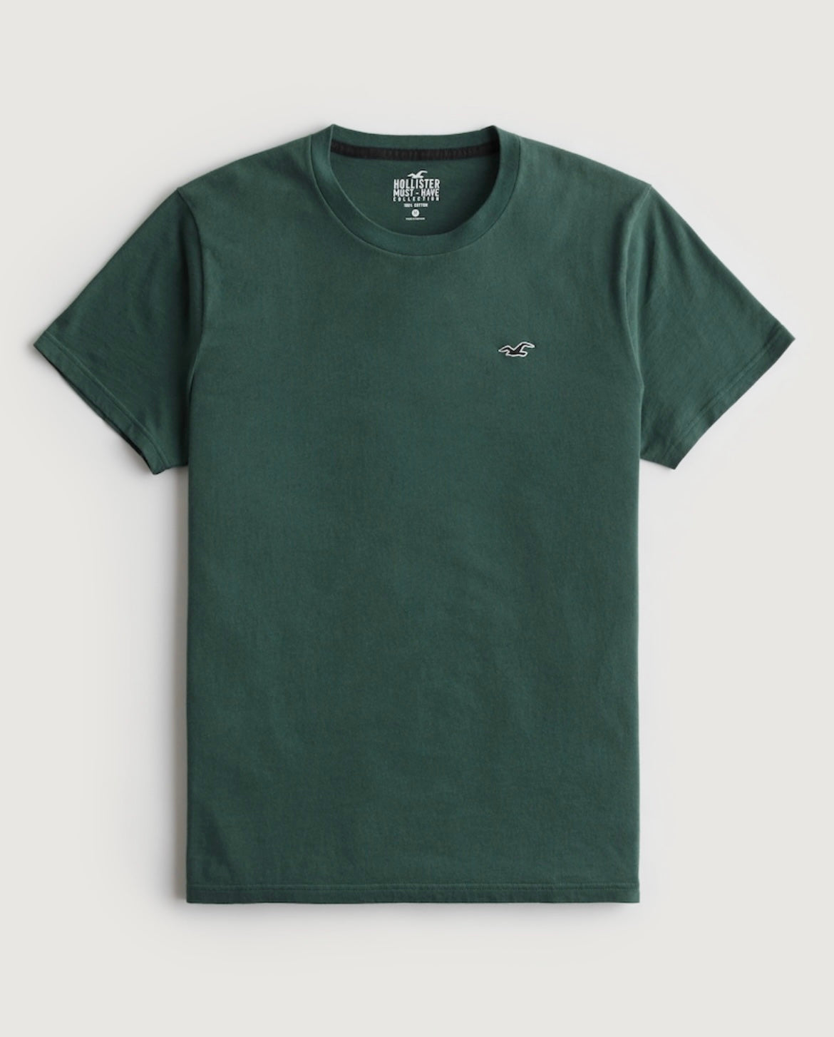 REMERA CON LOGO BORDADO HOLLISTER CO
