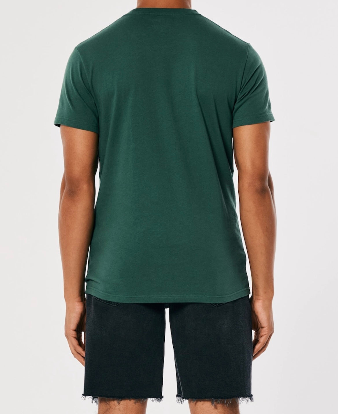 REMERA CON LOGO BORDADO HOLLISTER CO