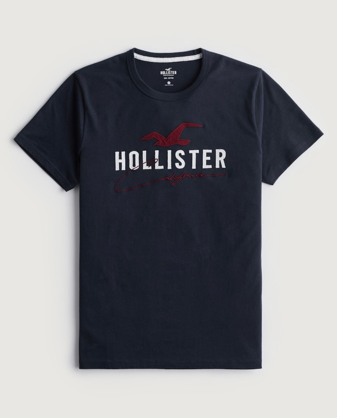 REMERA CON LOGOTIPO BORDADO HOLLISTER CO