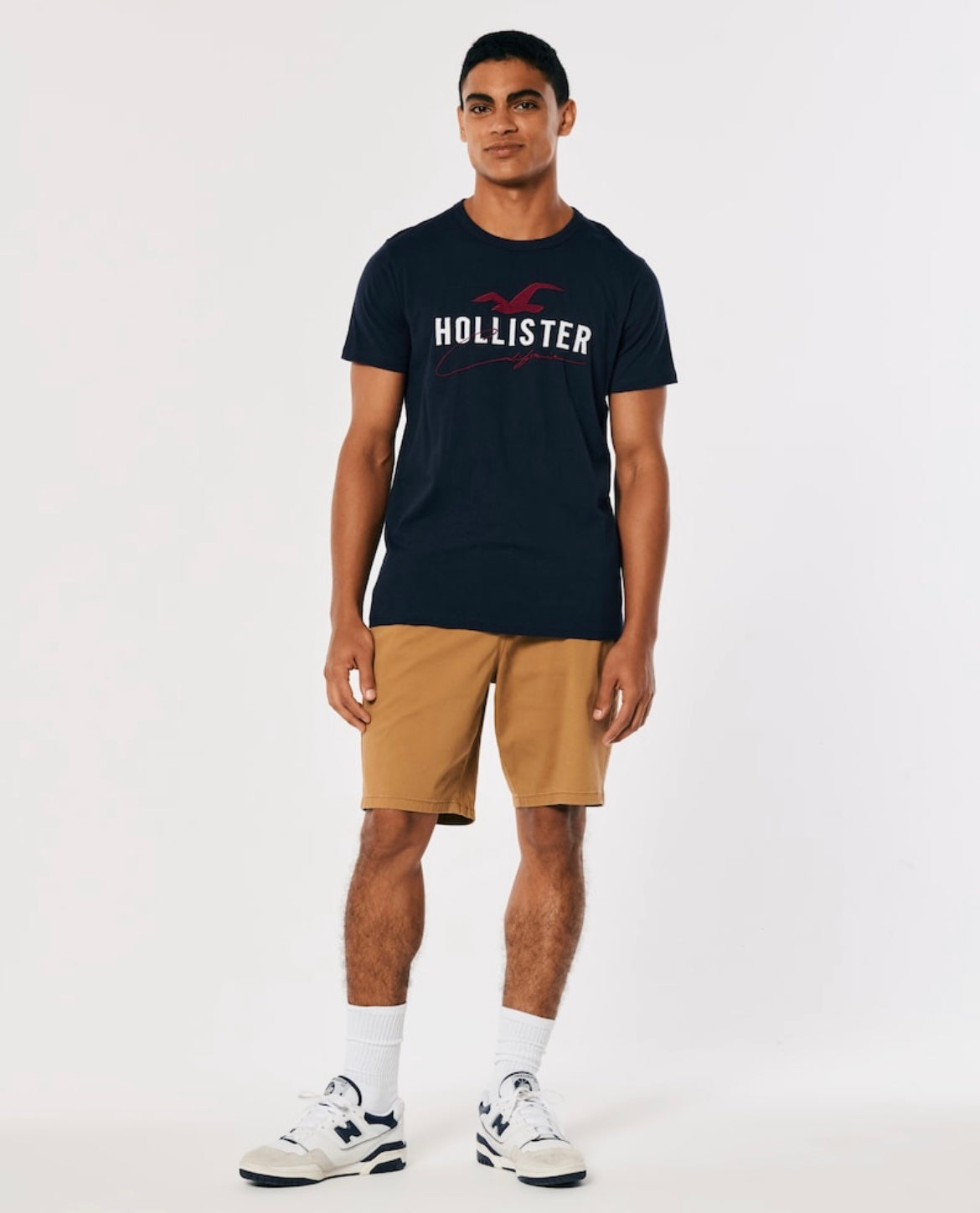 REMERA CON LOGOTIPO BORDADO HOLLISTER CO