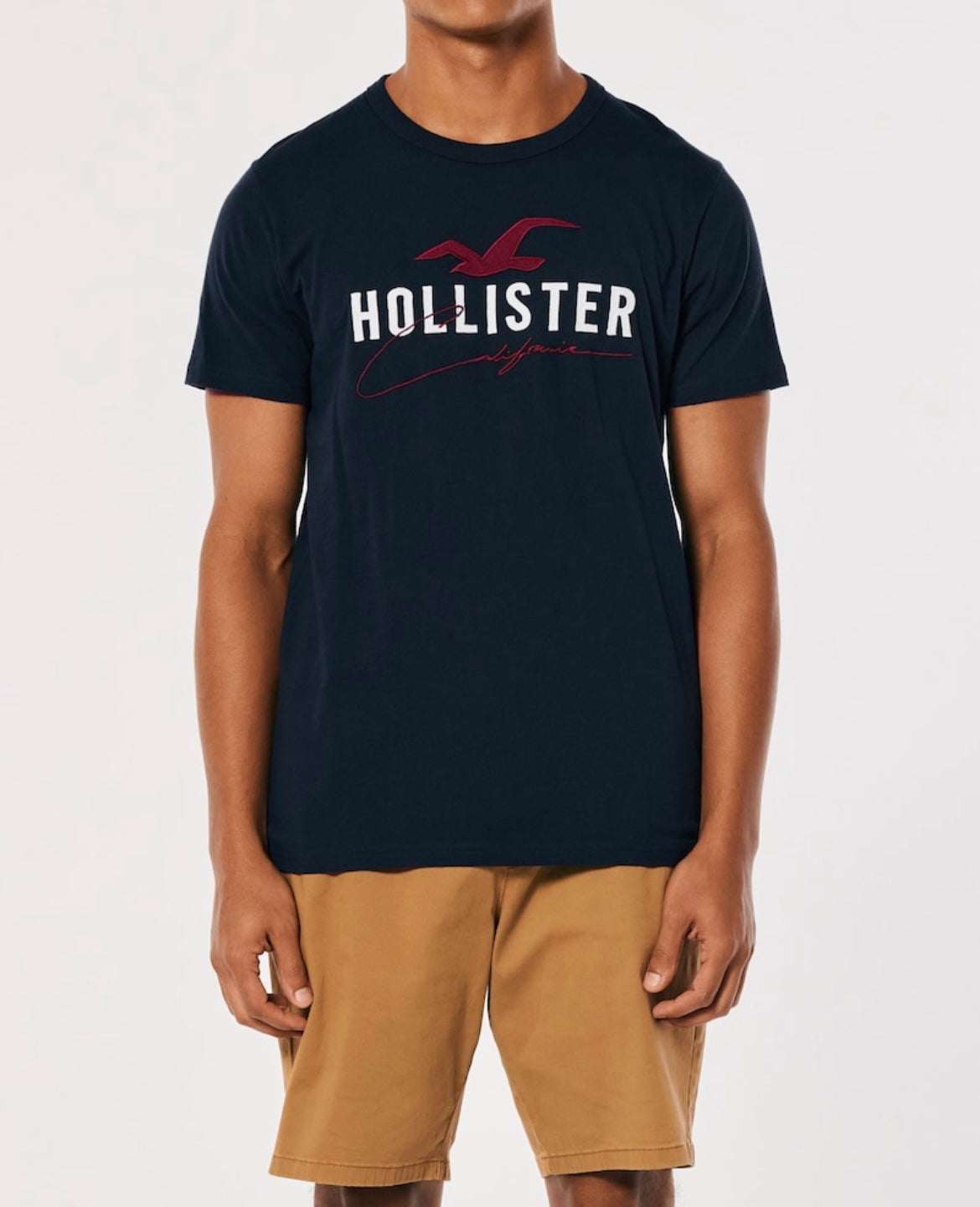 REMERA CON LOGOTIPO BORDADO HOLLISTER CO