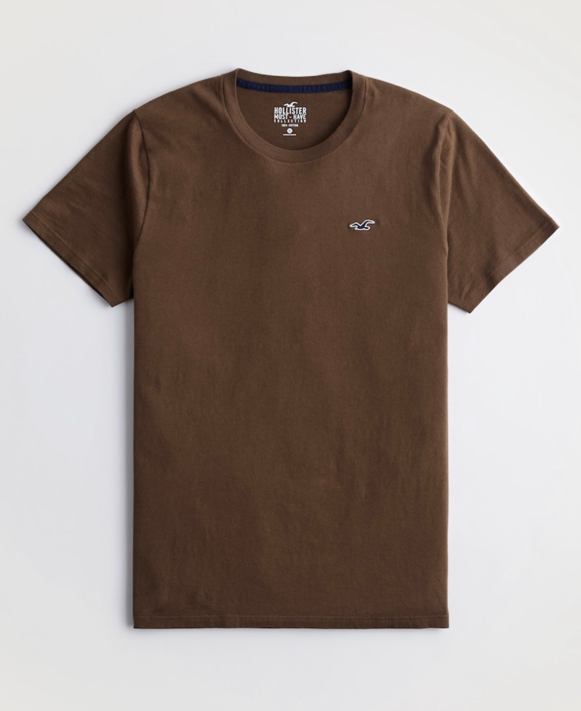 REMERA CON LOGOTIPO BORDADO HOLLISTER CO