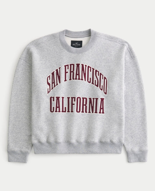 BUZO SAN FRANCISCO BORDADO HOLLISTER CO