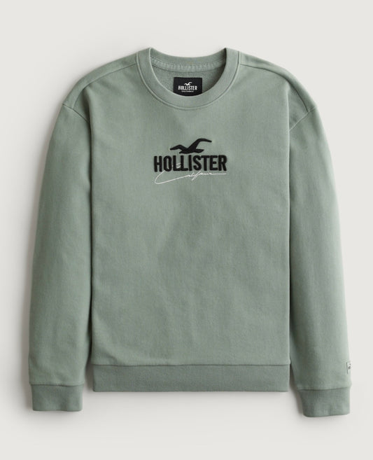 BUZO CON LOGO BORDADO HOLLISTER CO
