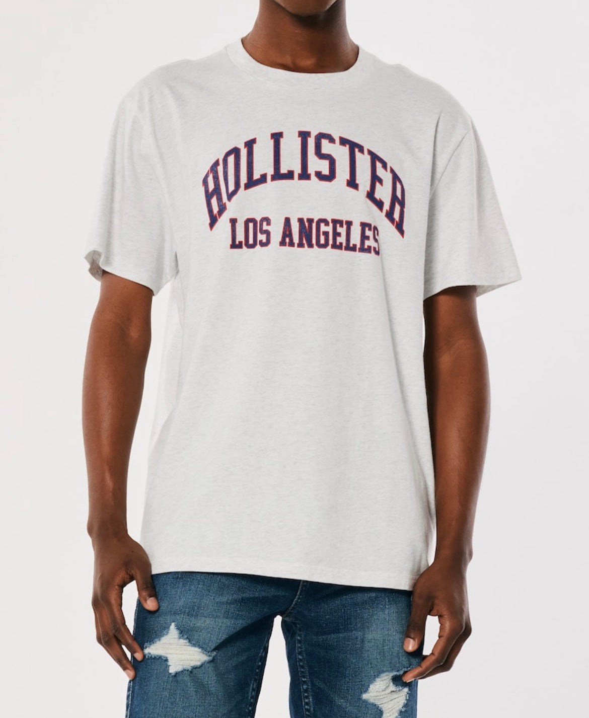 REMERA LOS ÁNGELES ESTAMPADA HOLLISTER CO